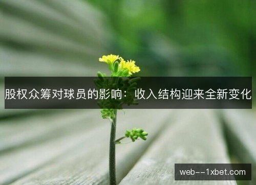 股权众筹对球员的影响:收入结构迎来全新变化 股权众筹对球员的影响:收入结构迎来全新变化